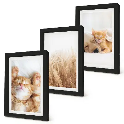 Set ingelijste schilderijen met schattige katten en honden in een boho stijl met zacht gras