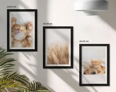 Set ingelijste schilderijen met schattige katten en honden in een boho stijl met zacht gras