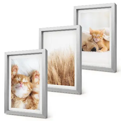 Set ingelijste schilderijen met schattige katten en honden in een boho stijl met zacht gras