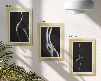 Gallery wall zwart-wit vrouwelijke silhouetten met erotisch thema