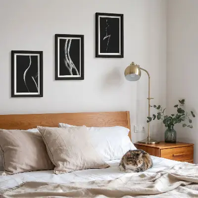 Gallery wall zwart-wit vrouwelijke silhouetten met erotisch thema