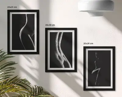 Gallery wall zwart-wit vrouwelijke silhouetten met erotisch thema