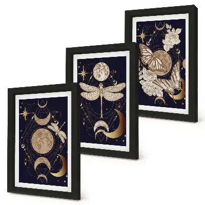 Gallerijwand met natuurmotieven van de maan, de ruimte en bloemen