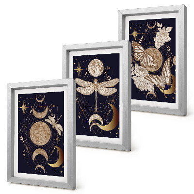 Gallery wall Natuurmotieven met de maan, de ruimte en bloemen.