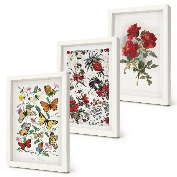 Set van ingelijste schilderijen met vlinders, bloemen en rode rozen in klassieke stijl