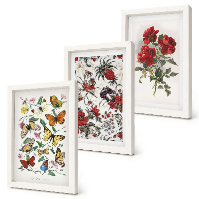 Set van ingelijste schilderijen Vlinders, bloemen en rode rozen in een klassieke stijl.