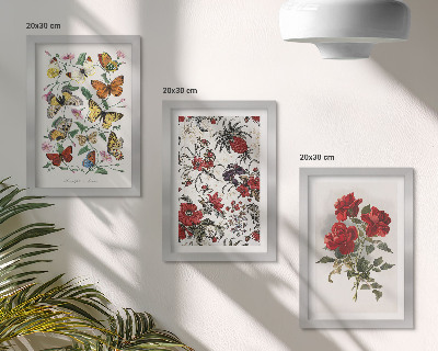 Set van ingelijste schilderijen Vlinders, bloemen en rode rozen in een klassieke stijl.