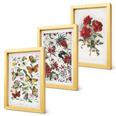 Set van ingelijste schilderijen met vlinders, bloemen en rode rozen in klassieke stijl