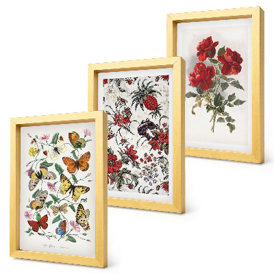 Set van ingelijste schilderijen Vlinders, bloemen en rode rozen in een klassieke stijl.