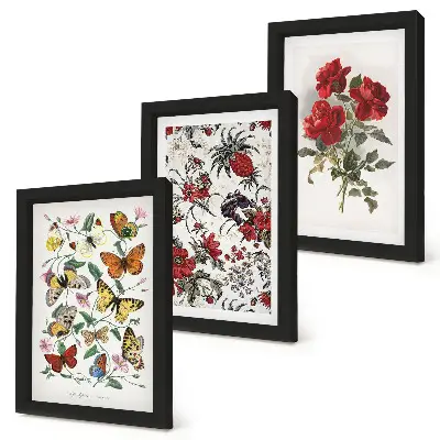 Set van ingelijste schilderijen met vlinders, bloemen en rode rozen in klassieke stijl