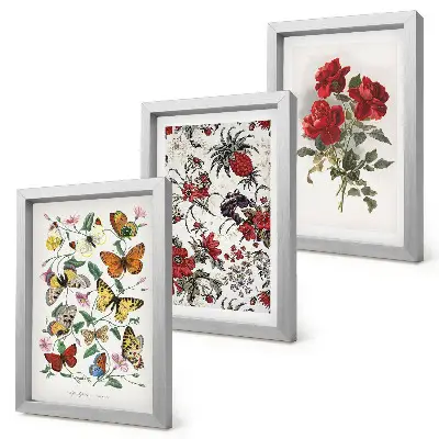 Set van ingelijste schilderijen met vlinders, bloemen en rode rozen in klassieke stijl
