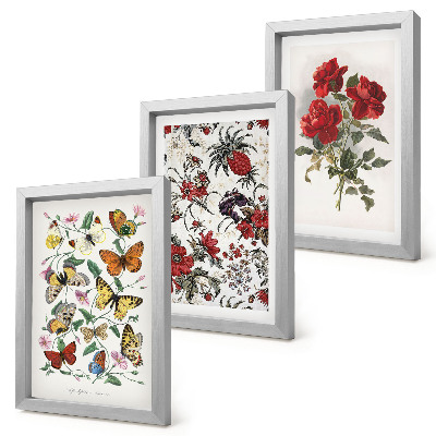 Set van ingelijste schilderijen Vlinders, bloemen en rode rozen in een klassieke stijl.