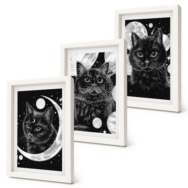 Gallery wall Zwarte katten tegen de achtergrond van de maan en planeten in de ruimte.