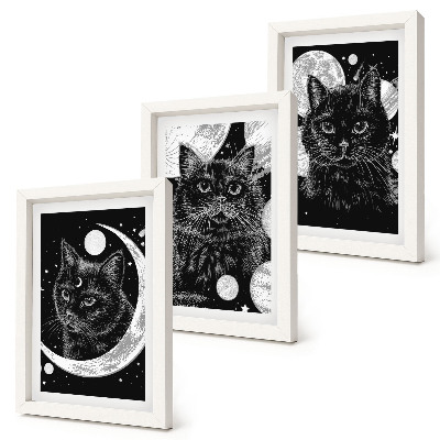 Gallery wall Zwarte katten tegen de achtergrond van de maan en planeten in de ruimte.