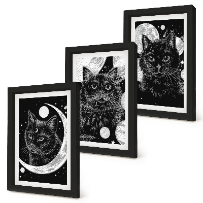 Gallery wall Zwarte katten tegen de achtergrond van de maan en planeten in de ruimte.