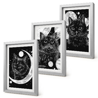 Gallery wall Zwarte katten tegen de achtergrond van de maan en planeten in de ruimte.