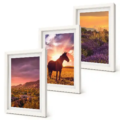 Set van ingelijste schilderijen met berglandschappen, paarden en lavendelvelden