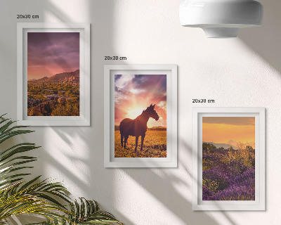 Set van ingelijste schilderijen Berglandschappen met paarden en lavendelvelden