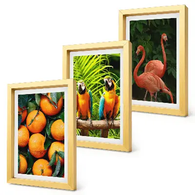 Set van ingelijste schilderijen met tropische accenten van papegaaien en flamingo's