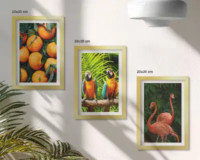 Set van ingelijste schilderijen met tropische accenten van papegaaien en flamingo's