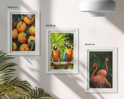 Set van ingelijste schilderijen met tropische accenten van papegaaien en flamingo's