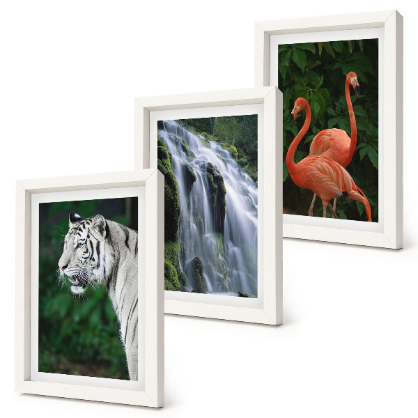Gallery wall Tijgerwaterval en roze flamingo's in de natuur