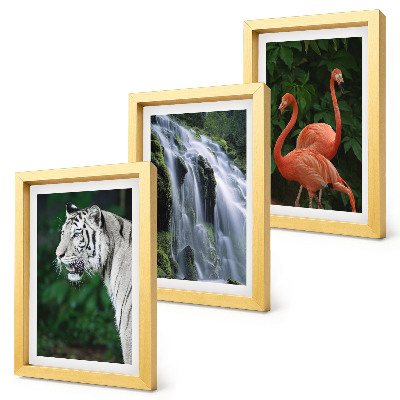 Gallery wall Tijgerwaterval en roze flamingo's in de natuur