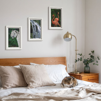 Gallery wall Tijgerwaterval en roze flamingo's in de natuur