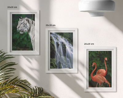 Gallery wall Tijgerwaterval en roze flamingo's in de natuur