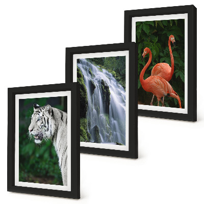 Gallery wall Tijgerwaterval en roze flamingo's in de natuur