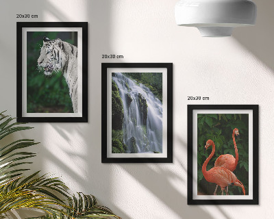 Gallery wall Tijgerwaterval en roze flamingo's in de natuur