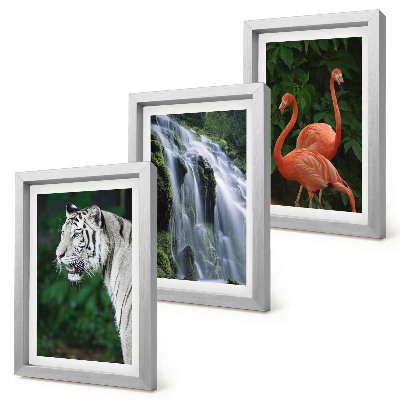 Gallery wall Tijgerwaterval en roze flamingo's in de natuur