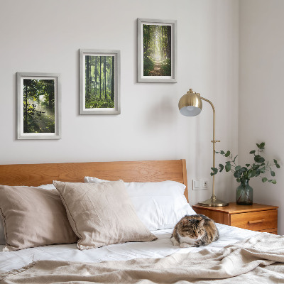 Gallery wall Groene bossen met zonnestralen en een bospad.