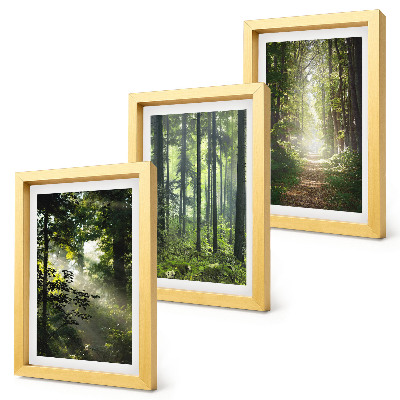 Gallery wall Groene bossen met zonnestralen en een bospad.