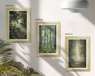 Gallery wall Groene bossen met zonnestralen en een bospad.