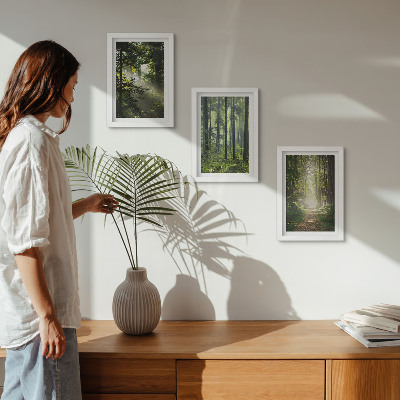 Gallery wall Groene bossen met zonnestralen en een bospad.
