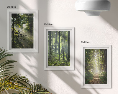 Gallery wall Groene bossen met zonnestralen en een bospad.