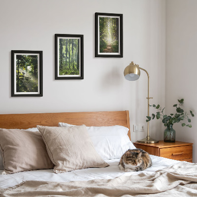 Gallery wall Groene bossen met zonnestralen en een bospad.