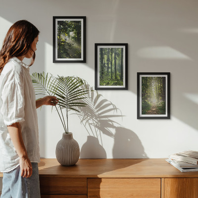 Gallery wall Groene bossen met zonnestralen en een bospad.