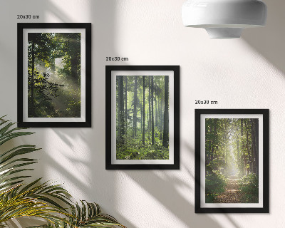 Gallery wall Groene bossen met zonnestralen en een bospad.