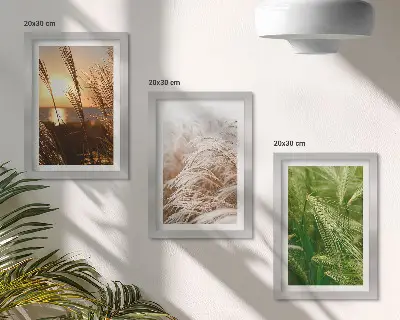 Set ingelijste schilderijen met verschillende soorten gras en kleurrijke natuur