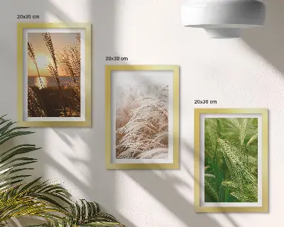 Set ingelijste schilderijen met verschillende soorten gras en kleurrijke natuur
