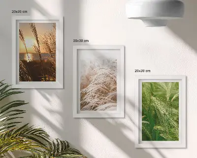 Set ingelijste schilderijen met verschillende soorten gras en kleurrijke natuur