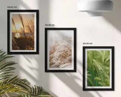 Set ingelijste schilderijen met verschillende soorten gras en kleurrijke natuur