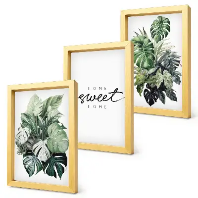 Gallery wall met groene planten en de tekst Sweet Home