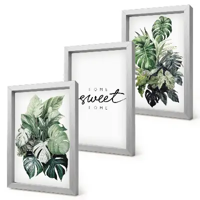 Gallery wall met groene planten en de tekst Sweet Home