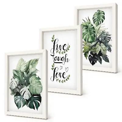 Set van ingelijste schilderijen met bladrijke planten en de tekst leven, lachen, liefde