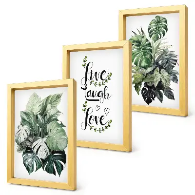 Set van ingelijste schilderijen met bladrijke planten en de tekst leven, lachen, liefde