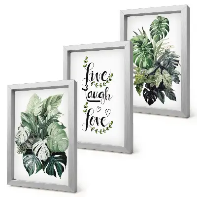 Set van ingelijste schilderijen met bladrijke planten en de tekst leven, lachen, liefde