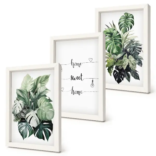 Set van ingelijste schilderijen met aquarel van monstera-bladeren